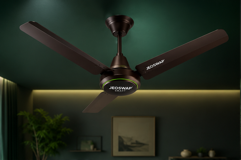 BLDC Fan